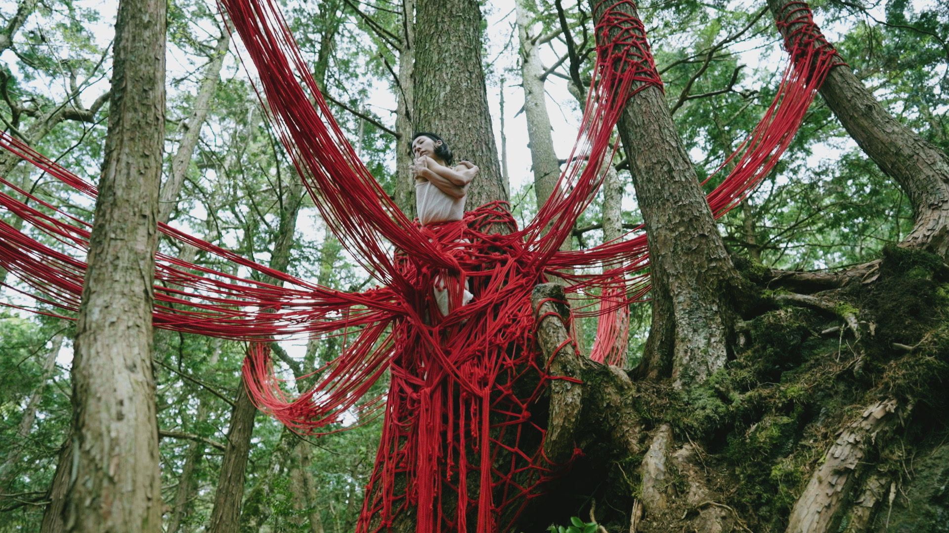 樹海Rope art work 『Reborn』