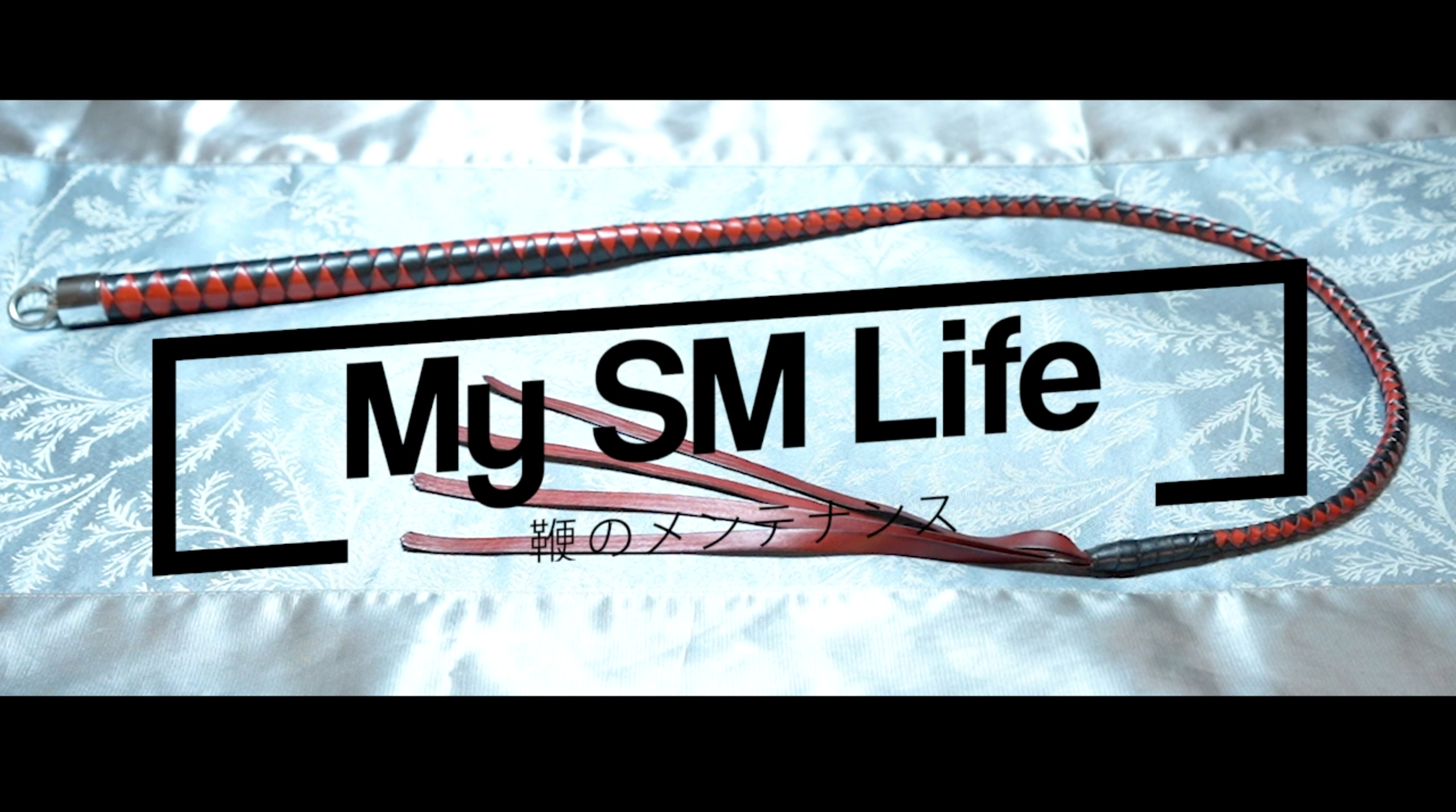 My SM Life Vol.2【鞭のメンテナンス】