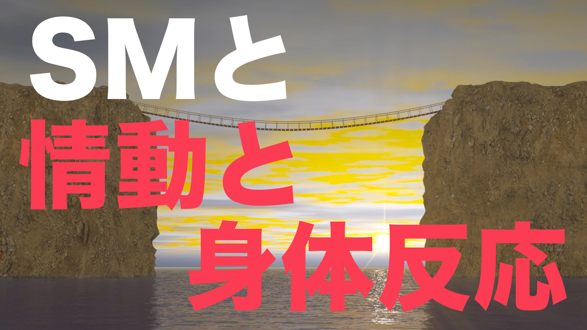 SM Research No.11【〜SMと情動と身体反応〜】