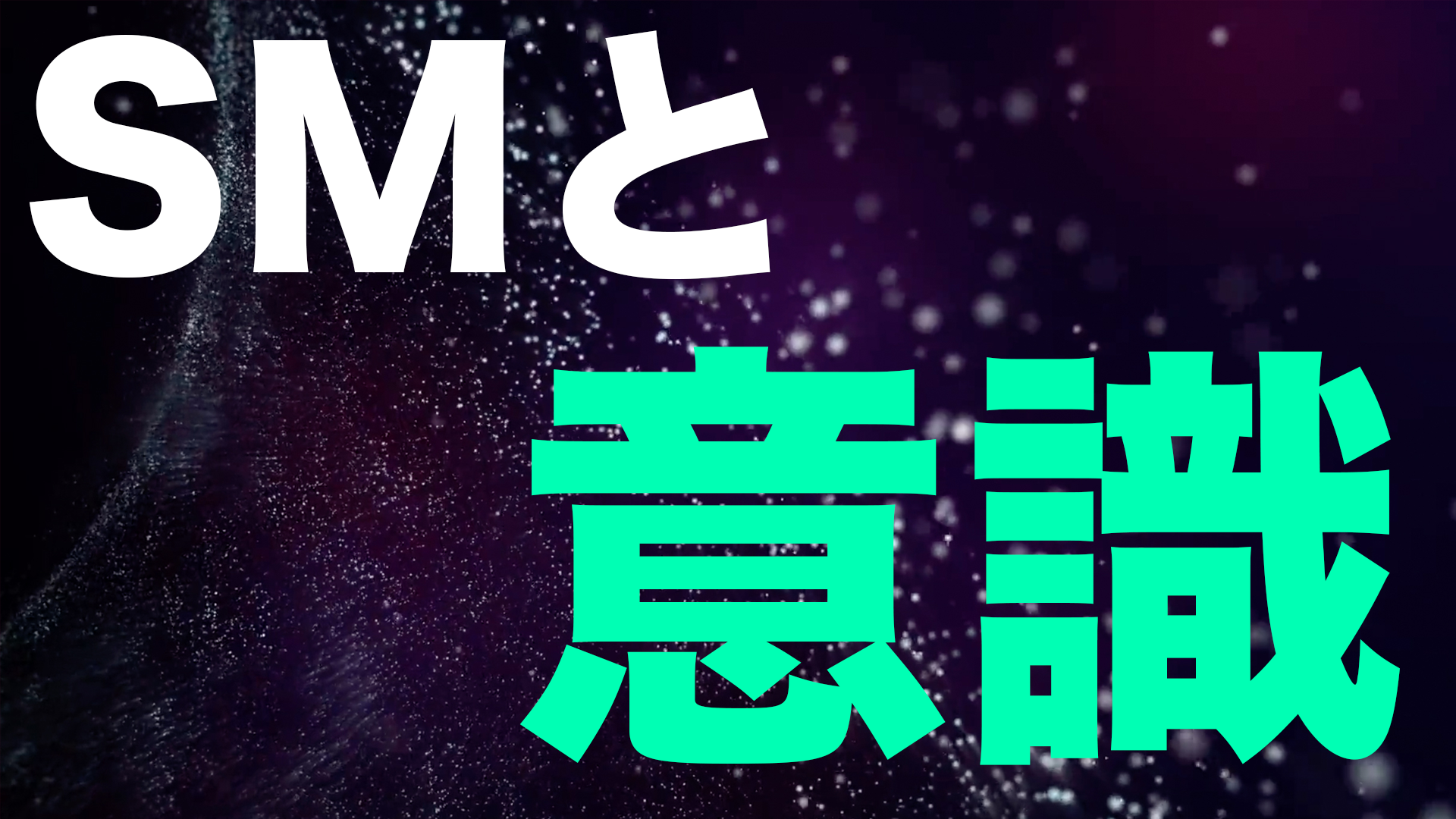 SM Research No.12【〜SMと意識〜】