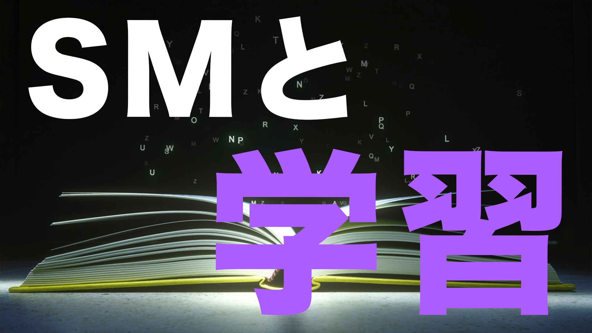 SM Research No.13【〜SMと学習〜】